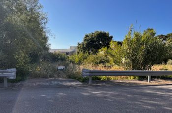 IMG_0506