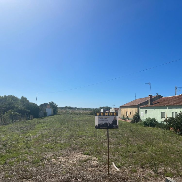 WhatsApp Image 2025-10-23 at 15.27.45 (3)